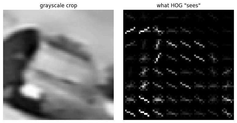 grayscale crop and HOG visualization