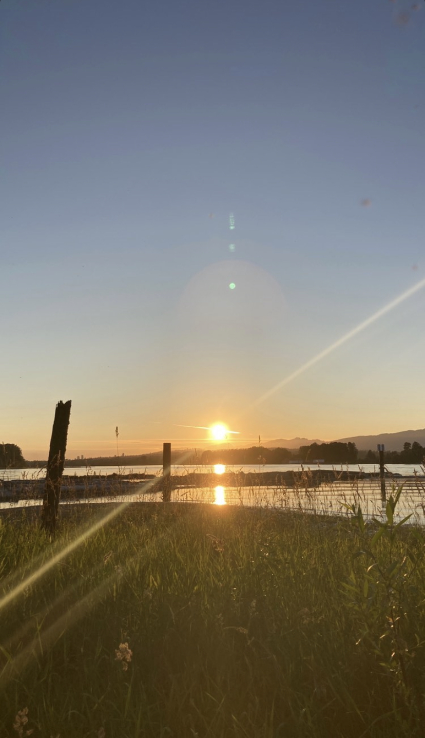 Farm sunset photo